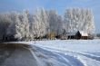 Road in snow