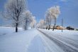 Road in snow