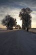 Road in snow