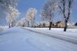 Road in snow