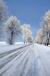Road in snow