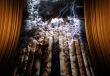 Abstract Surreal