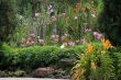 Botanical garden in Singapore