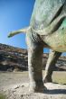 down the dinosaur