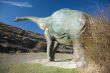 back of dinosaur big doll