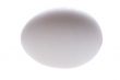 egg on white