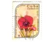 Old postage stamp from Cuba with flower