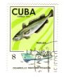 Old postage stamp from Cuba with Cod