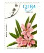 Old postage stamp from Cuba with flower