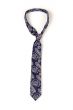 Blue man`s necktie on white background