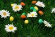 Easter grass