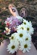 Colorful Flowers