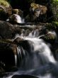 Mountain Stream