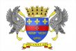 Saint Barthelemy Flag