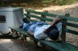 Worker sleeping on park bench