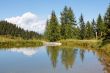Trees and clouds reflecting in pond
