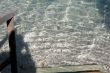 Ripples on lake surface