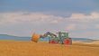 Harvest