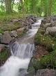 Stream