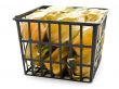 ground-cherry ib basket