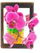 flowers in the frame