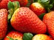 garden strawberry