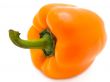 orange paprika