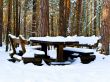 table in winter forest