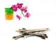 spanners and pink orchid