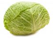 cabbage