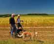 Couple with dogs