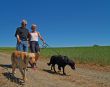 Couple with dogs