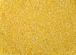 Maize cereals background