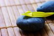 spa stones with flower petals