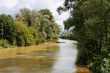 Danube channel and trees