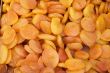 dried apricots