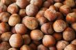 hazelnuts