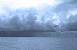 Seagull over Baltic Sea