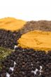 various spices