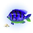 Tropical fish