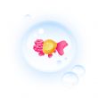 Tropical fish