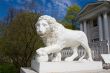 Sculpture of a lion