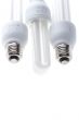 light bulb close up