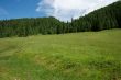 Hills and forest