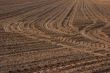 Soil