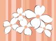 White flowers background