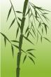 design of chinese bamboo trees