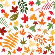 autumn leaves