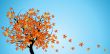 Abstract tree with autumn leaves