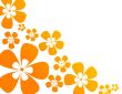 background with flowers in warm colors